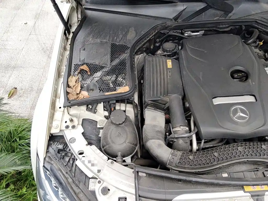 Mercedes-Benz C-Class (Import) — миниатюра 20