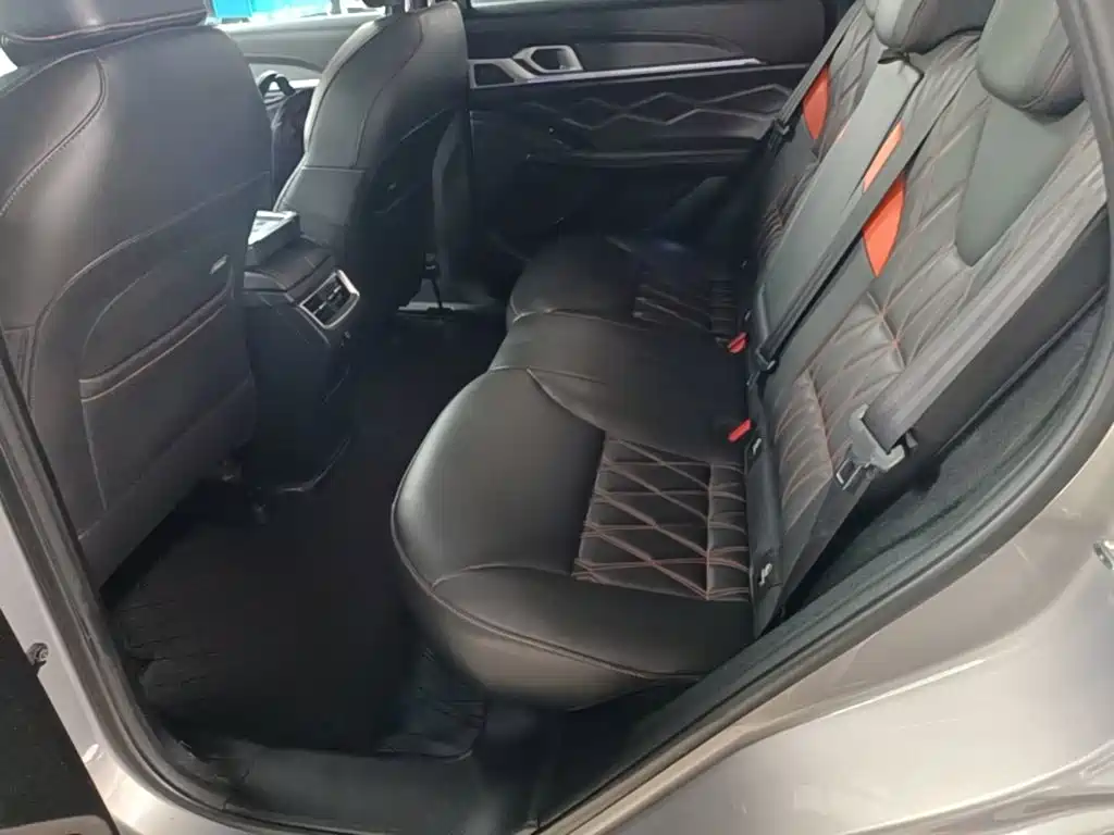 Haval Shenshou — миниатюра 17