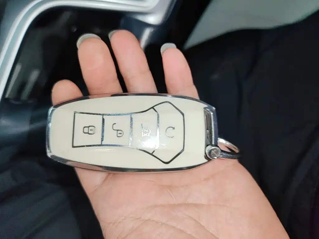 BYD PLUS New Energy — миниатюра 9