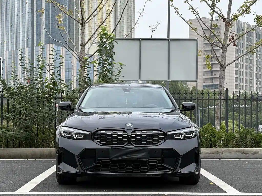 BMW 3 Series — миниатюра 2