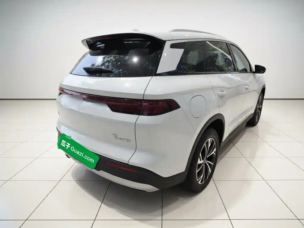 BYD Pro New Energy — миниатюра 4