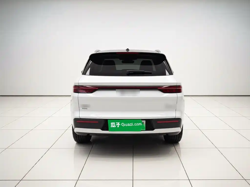 BYD Pro New Energy — миниатюра 3