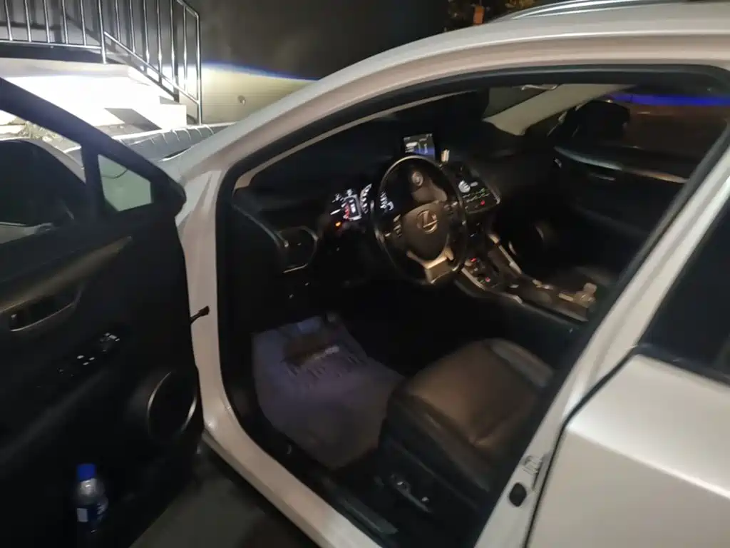 Lexus NX — миниатюра 12