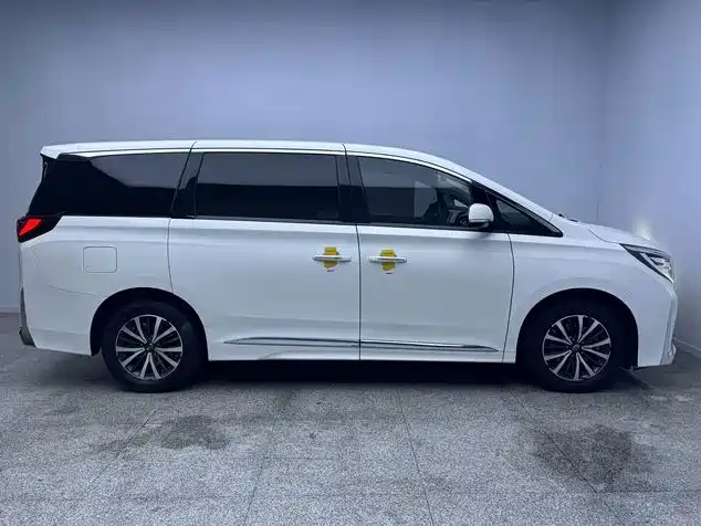 GAC Motor Trumpchi M8 — миниатюра 6