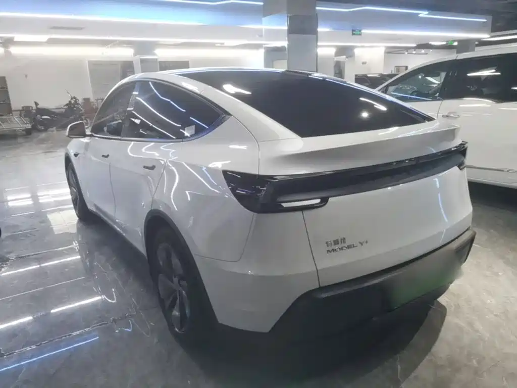 Tesla Model Y — миниатюра 5