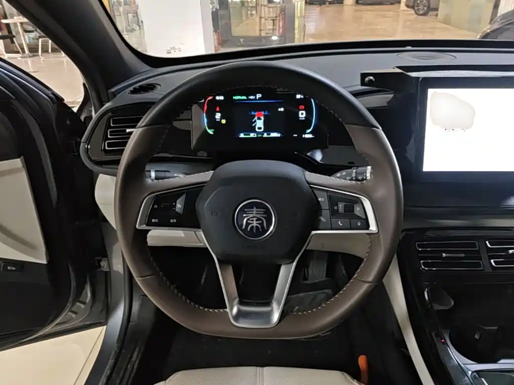 BYD Qin Plus 2024 — фото 10