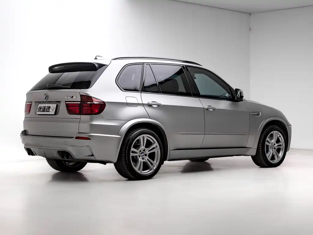 BMW X5 M 2010 X5 M