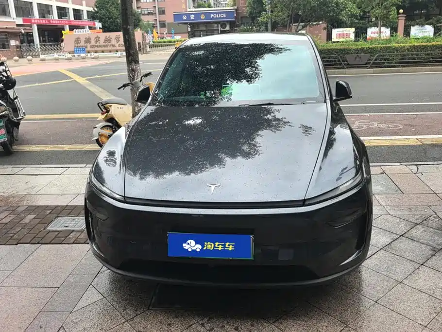 Tesla Model Y — миниатюра 2