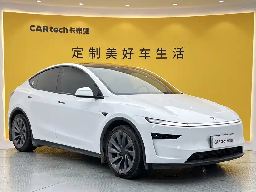 Tesla Model Y — миниатюра 2