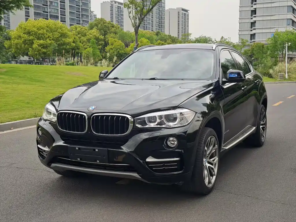 BMW X6 2019