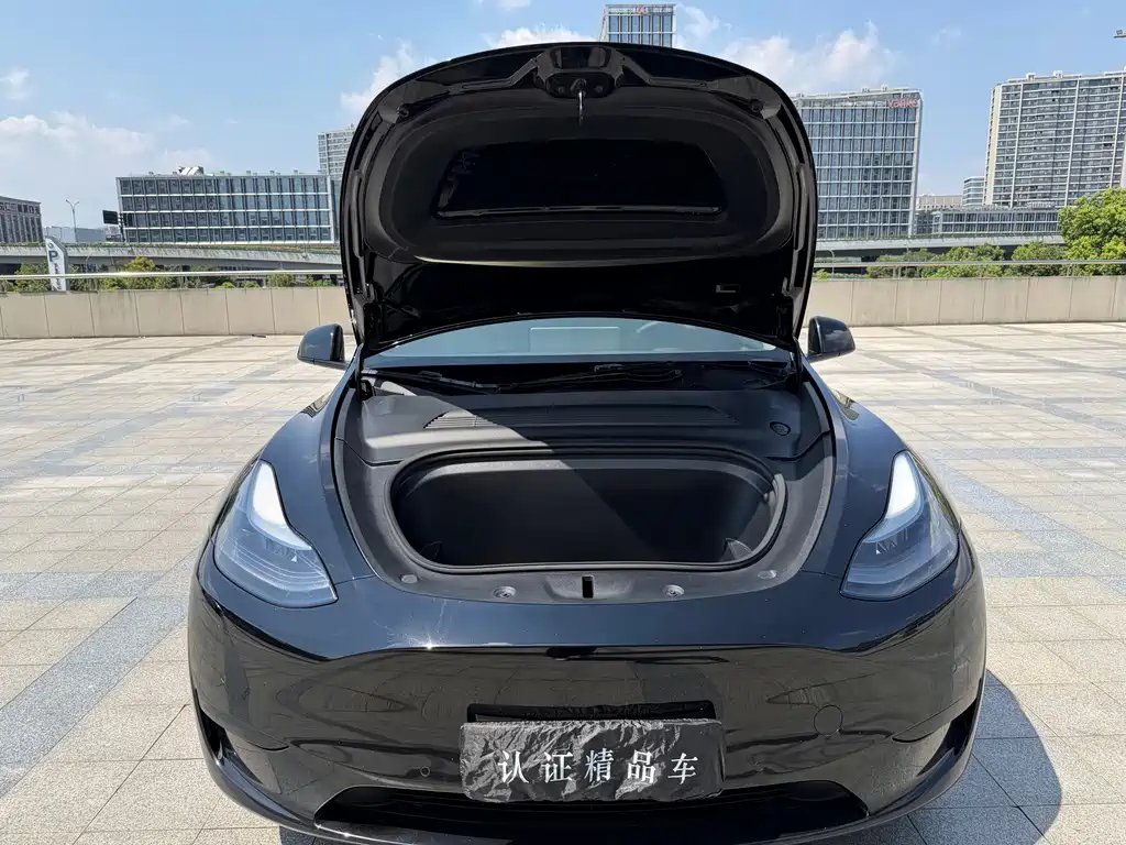Tesla Model Y — миниатюра 22