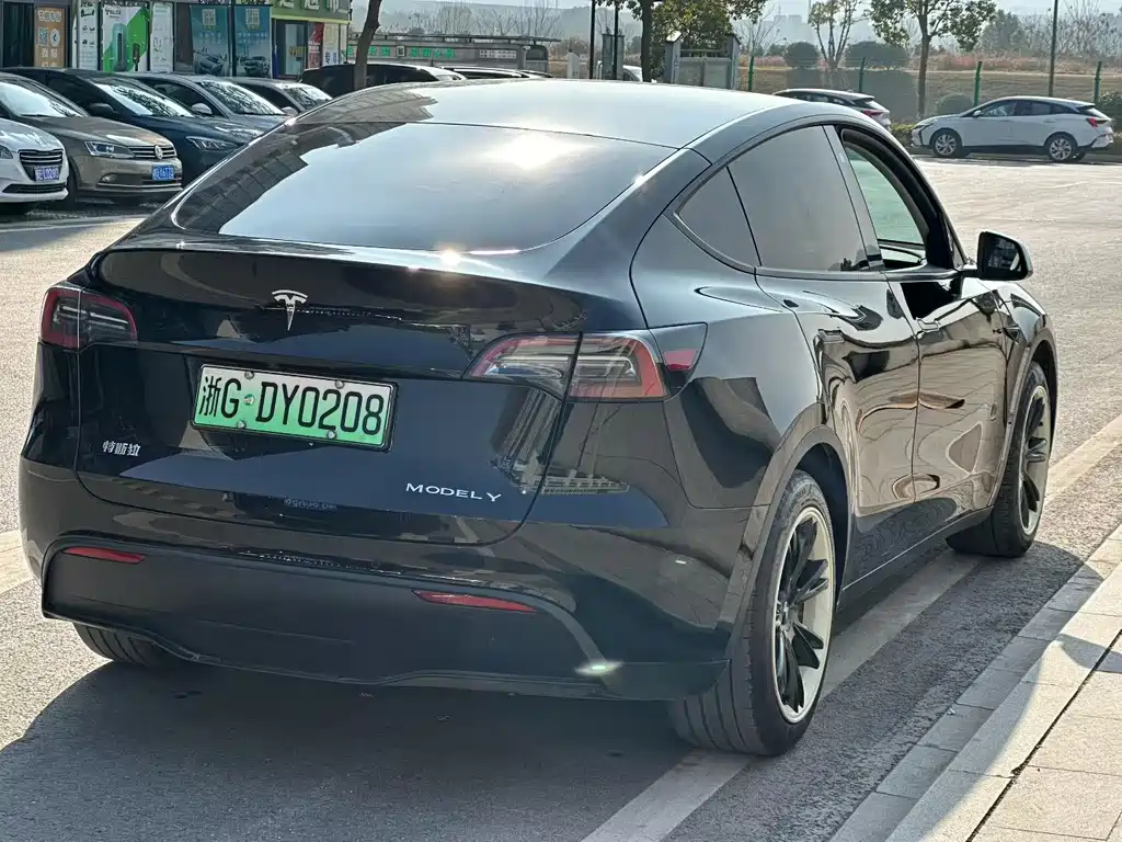 TESLA MODEL Y