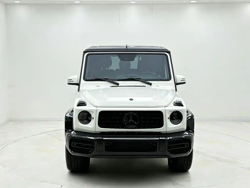 Mercedes-Benz G-Class G 2013 G 500