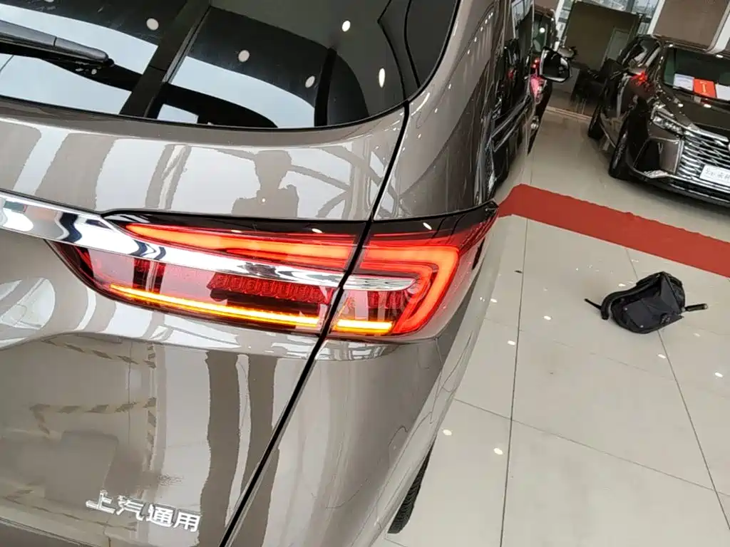 Buick GL8 — миниатюра 8