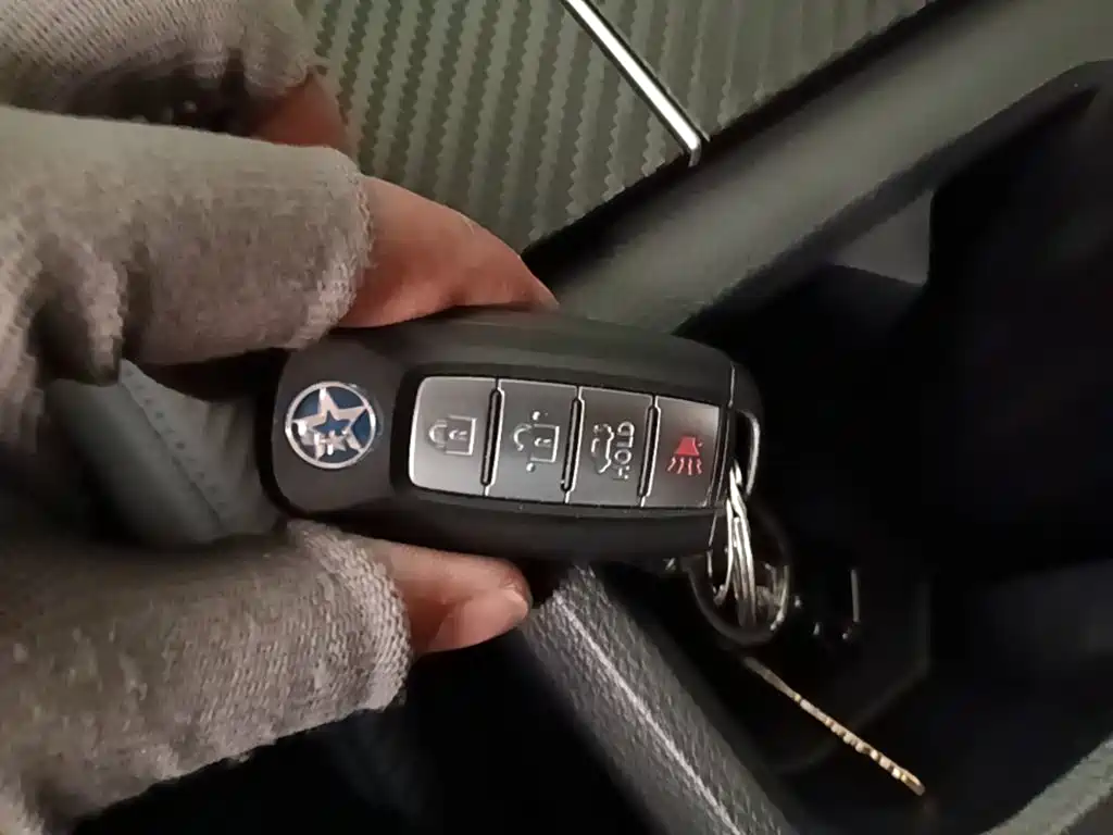 Venucia D60 EV — миниатюра 17