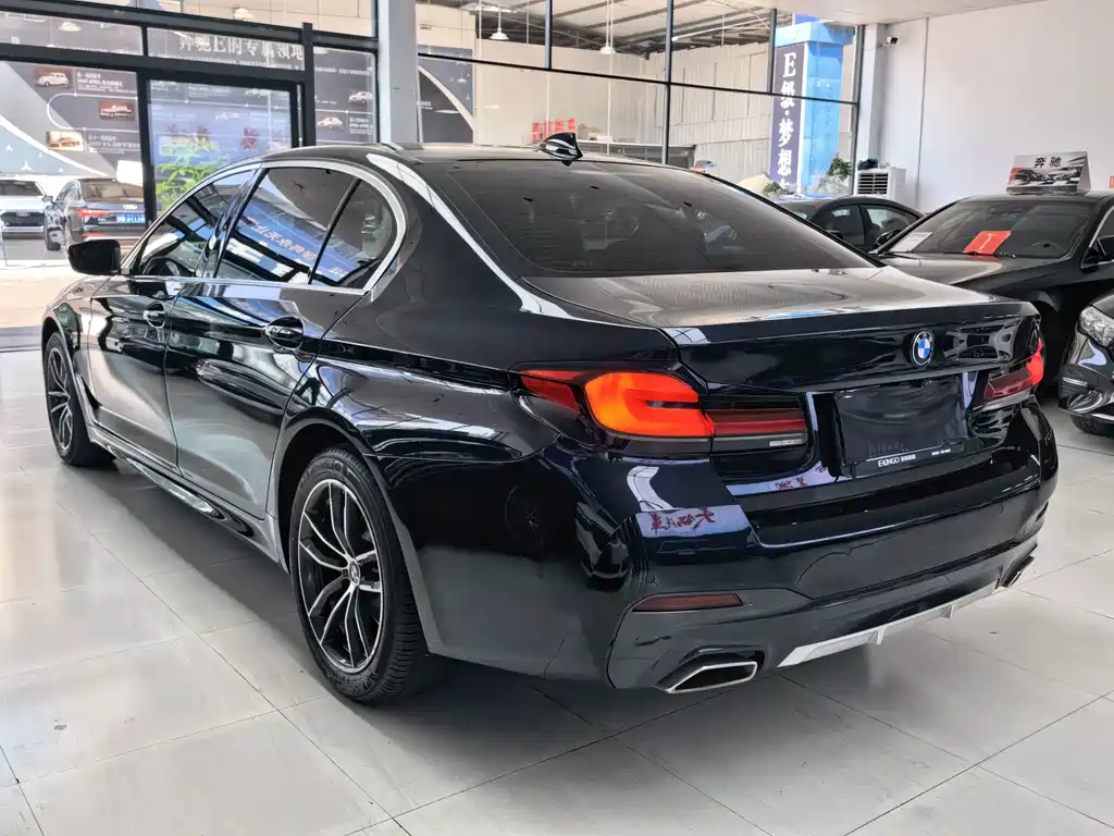 BMW 5 Series — миниатюра 8