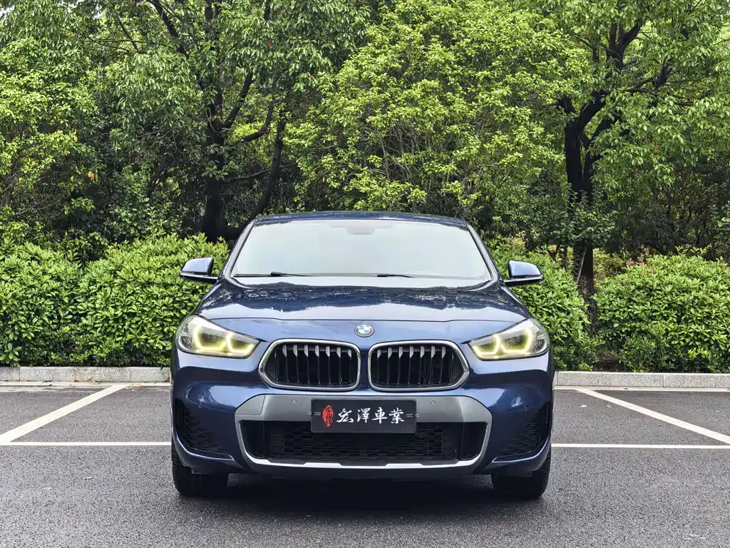 BMW X2 — миниатюра 2