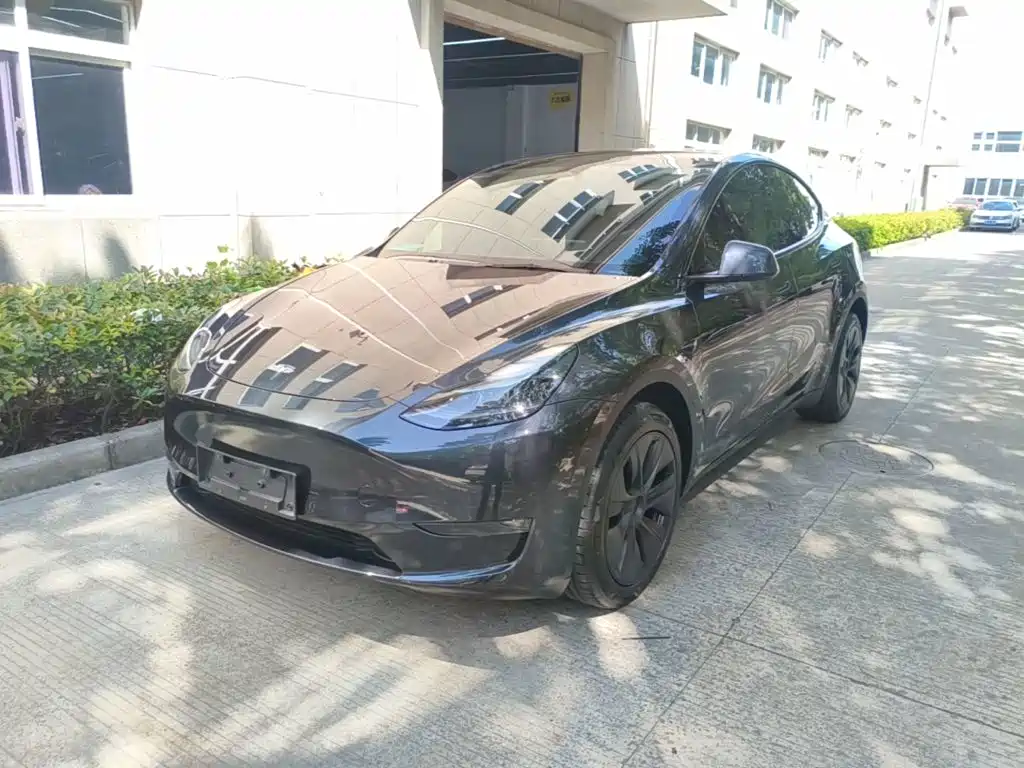 Tesla Model Y — миниатюра 2