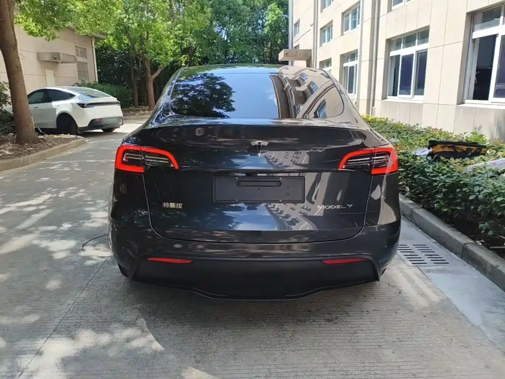 Tesla Model Y — миниатюра 6