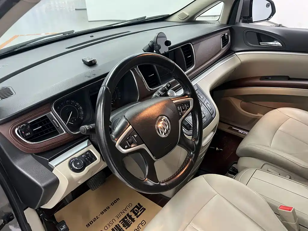 Buick GL8 — миниатюра 6