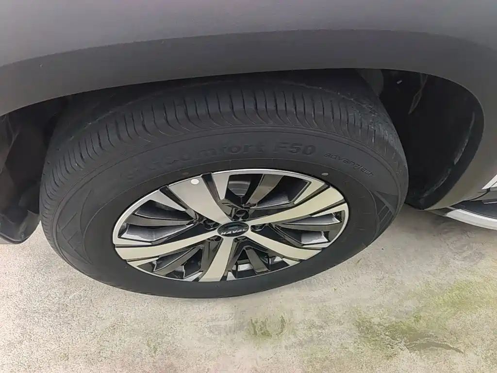 Haval 长城大狗 — миниатюра 23