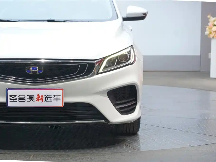 GEELY AUTOMOBILE BINRUI