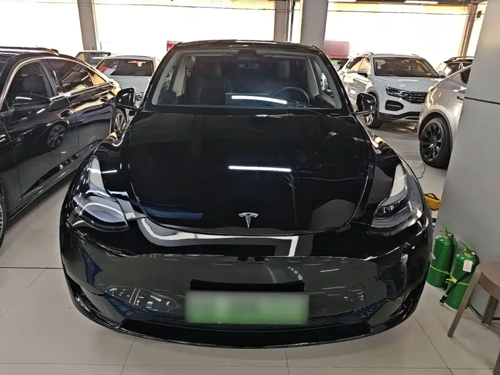 Tesla Model Y — миниатюра 3