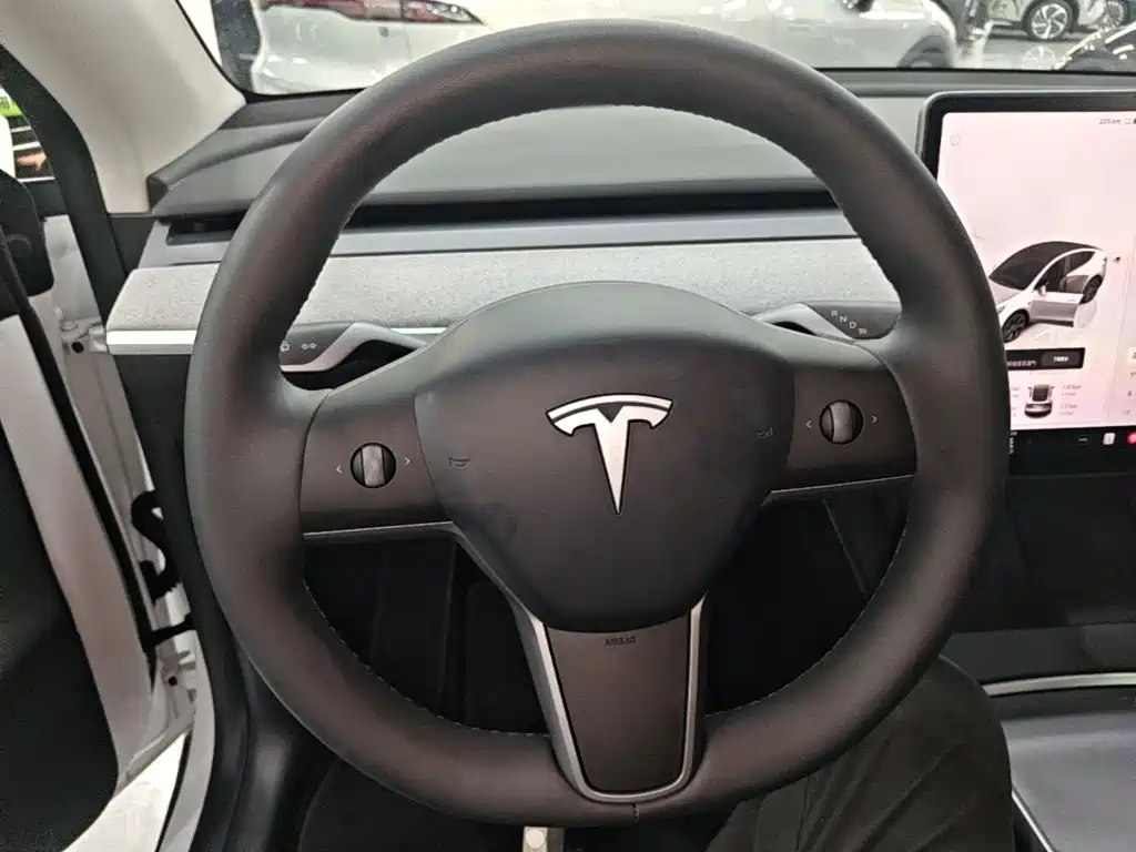 Tesla Model Y — миниатюра 11