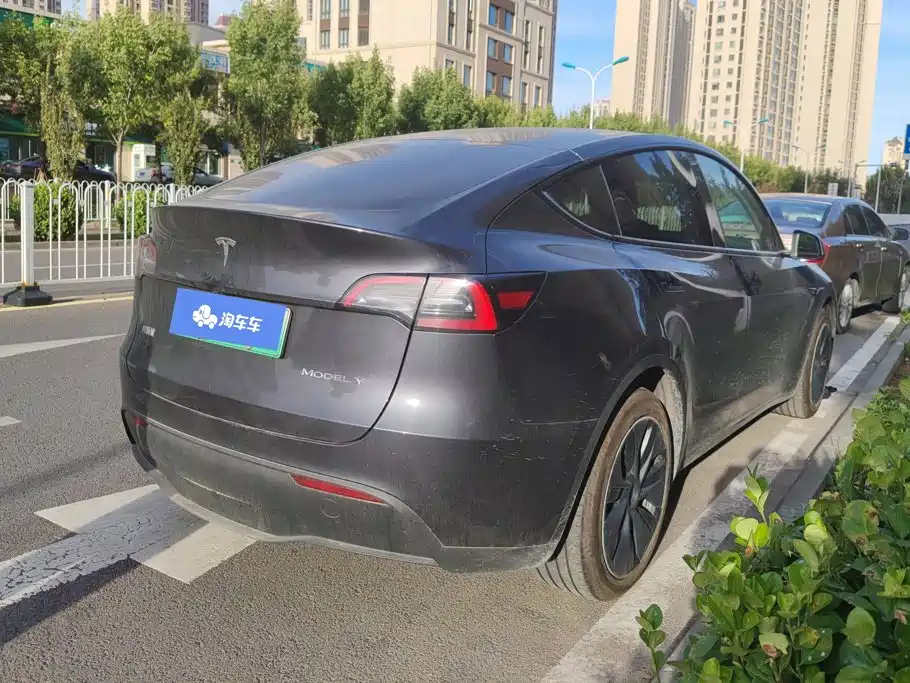Tesla Model Y — миниатюра 2