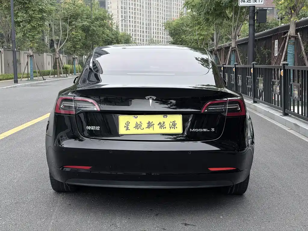Tesla Model 3 — миниатюра 6