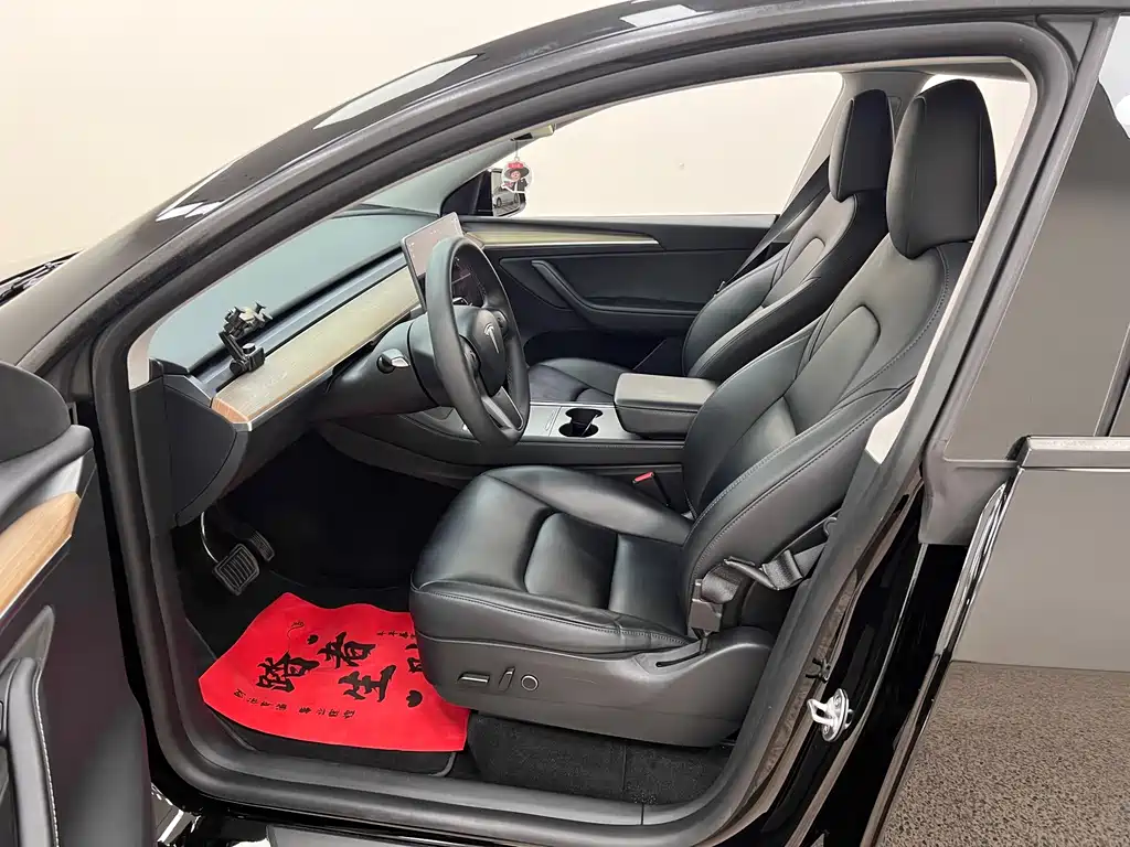 Tesla Model Y — миниатюра 11