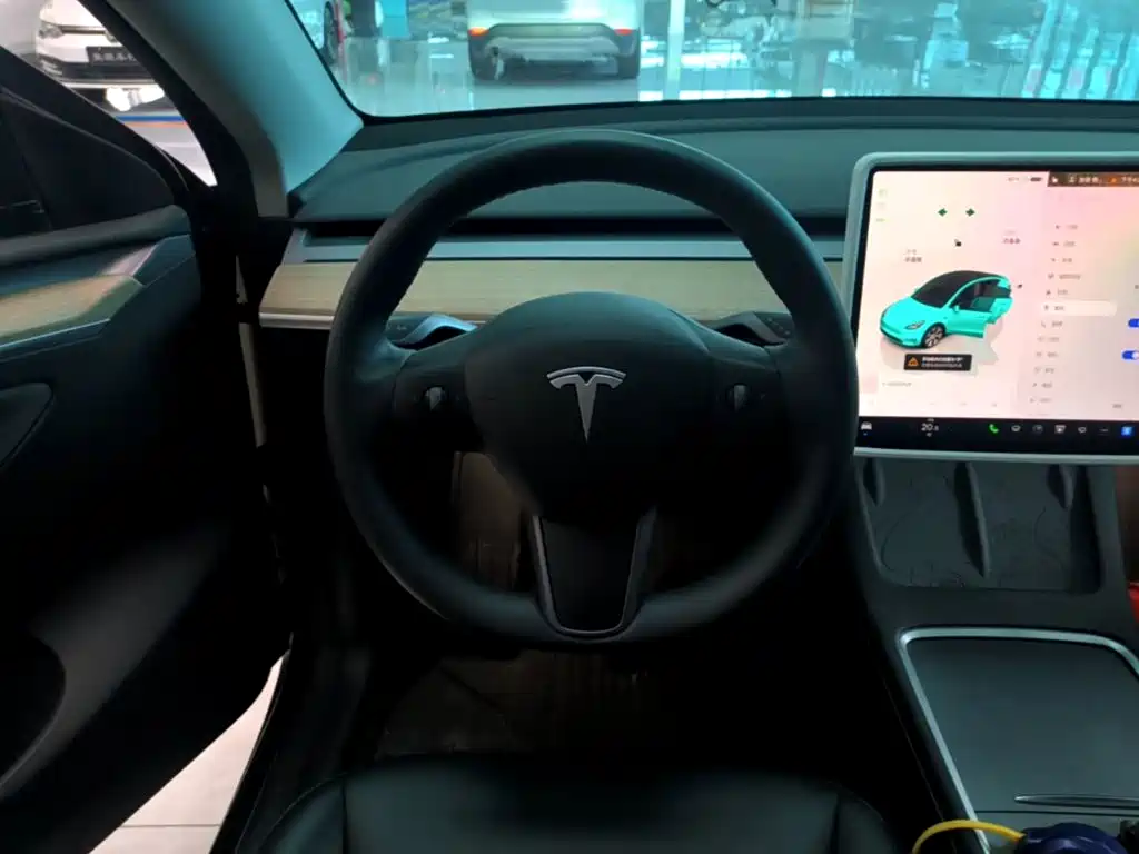 Tesla Model Y — миниатюра 11