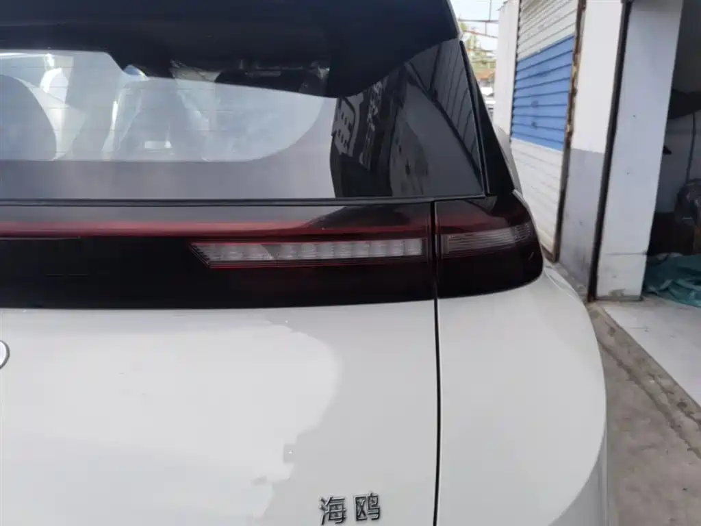 BYD Seagull 2025 Smart Drive 305km