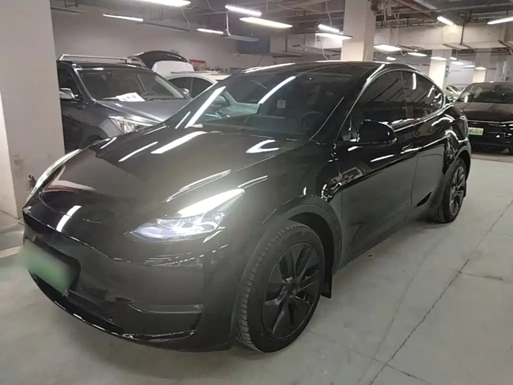 Tesla Model Y — миниатюра 2