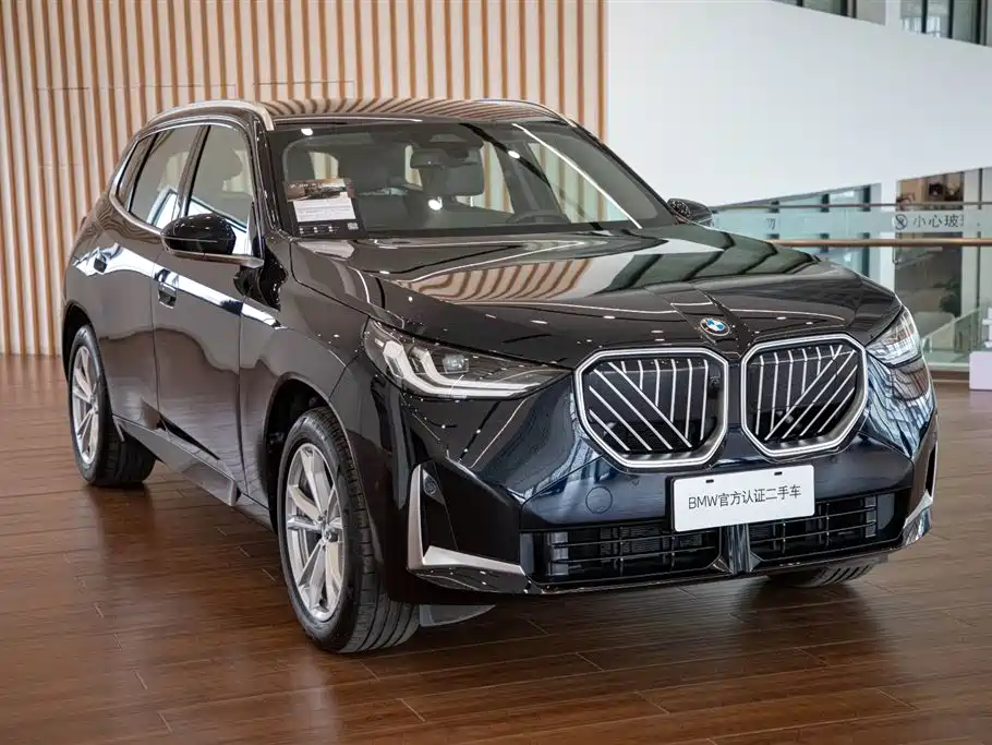 BMW X3 — миниатюра 4