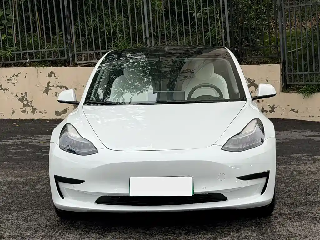 Tesla Model 3 — миниатюра 2