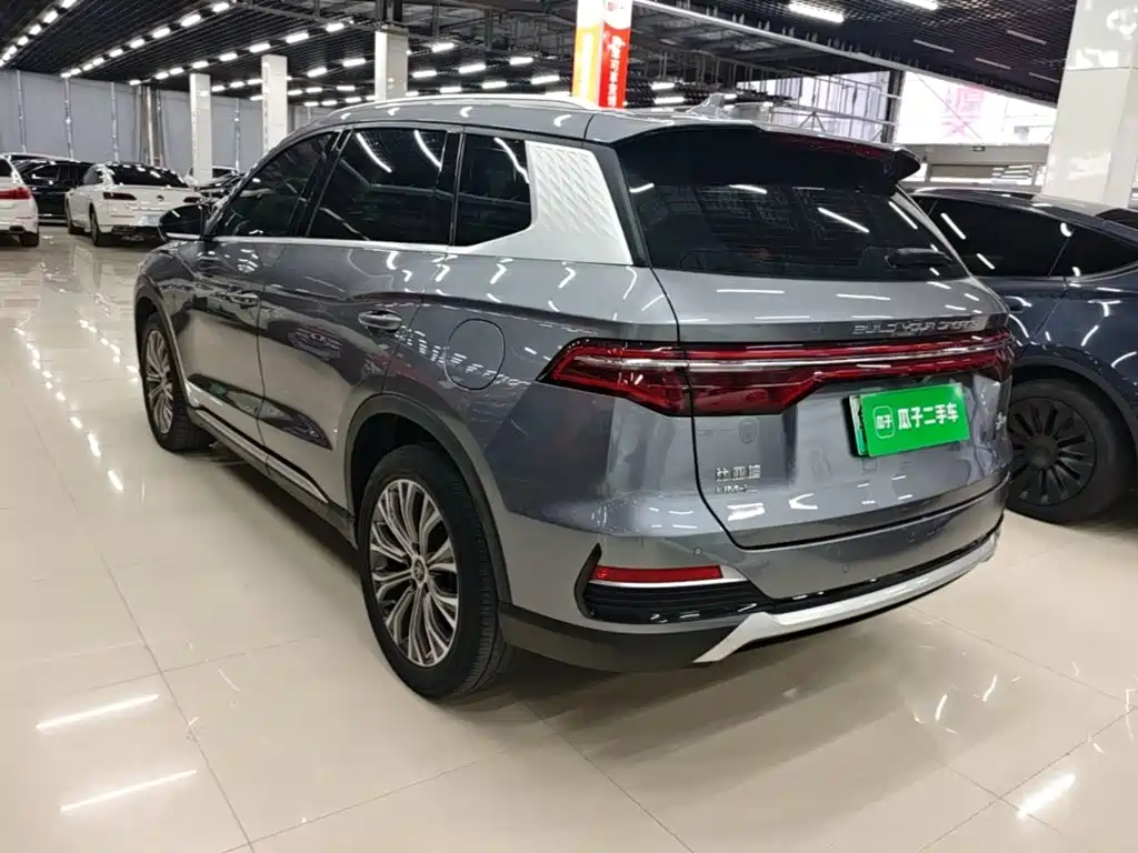 BYD Pro New Energy — миниатюра 5