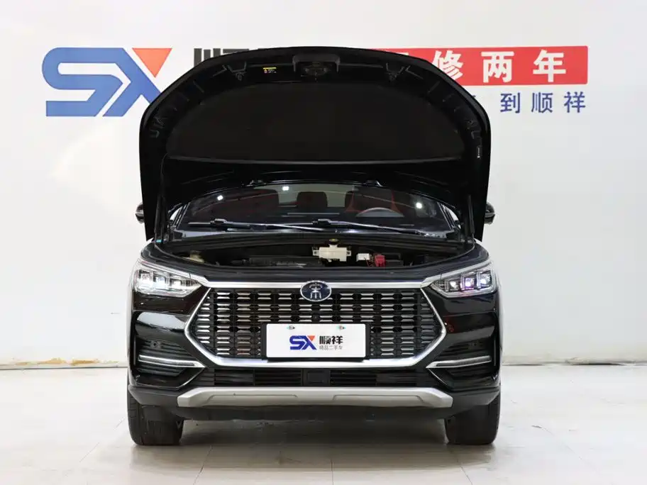 BYD PLUS — миниатюра 20