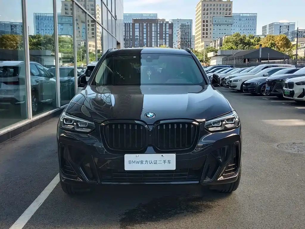 BMW X3 — миниатюра 2
