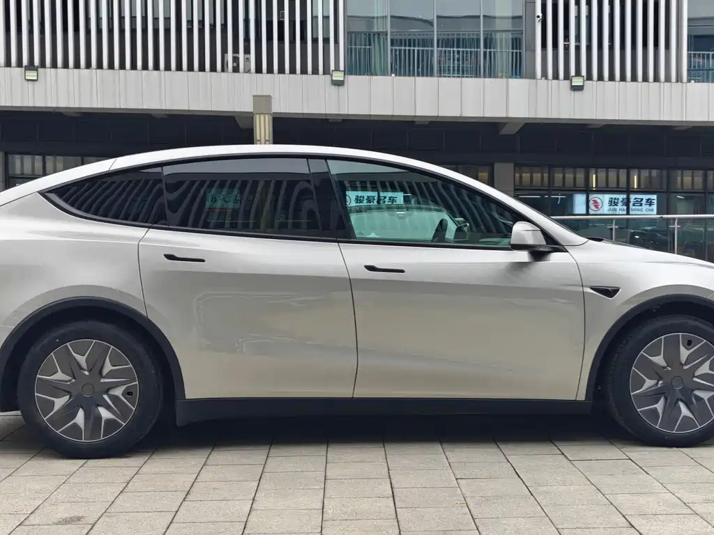 Tesla Model Y — миниатюра 11