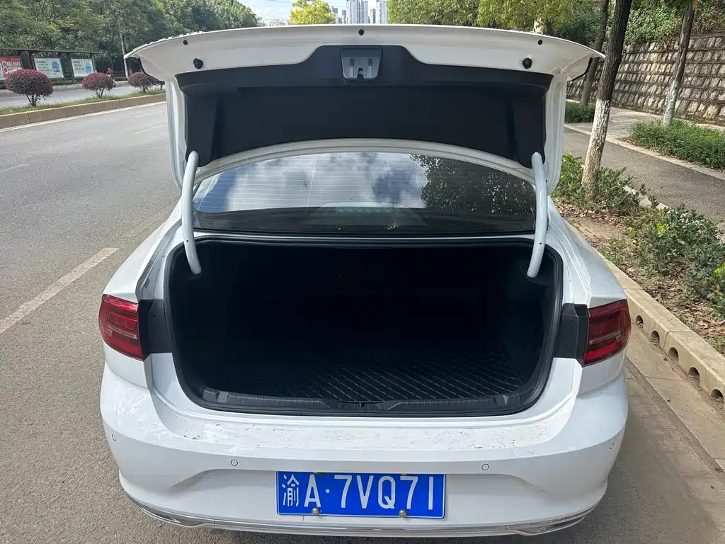 Volkswagen Lamando — миниатюра 8