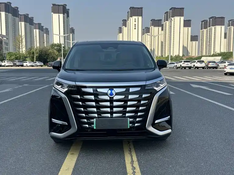 Denza Denza D9 — миниатюра 2