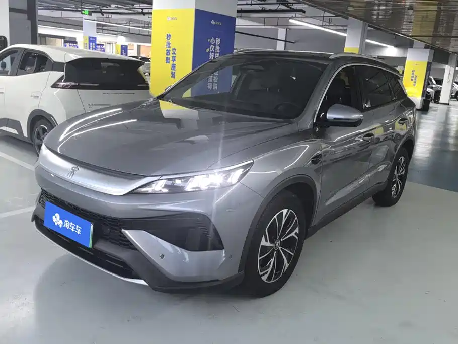 BYD Pro New Energy