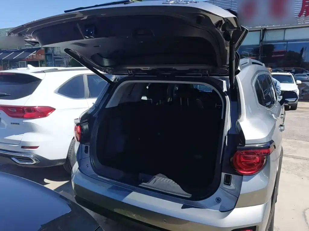 Haval Big Dog PLUS — миниатюра 19