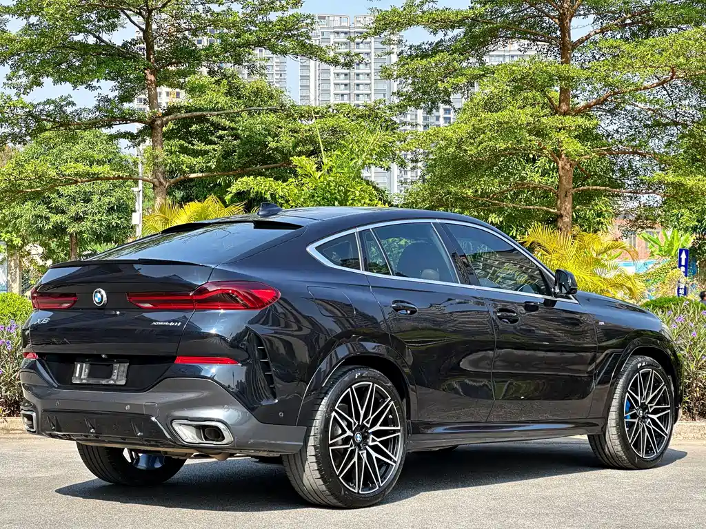 BMW X6