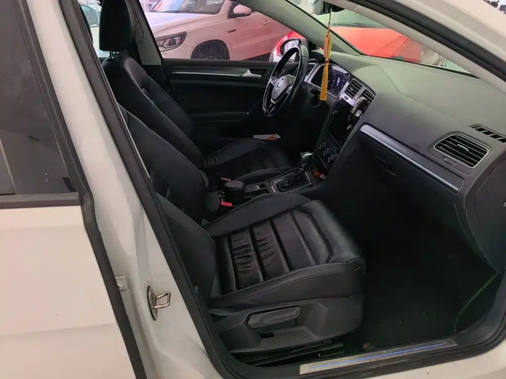 Volkswagen Golf New Energy (Import) — миниатюра 25