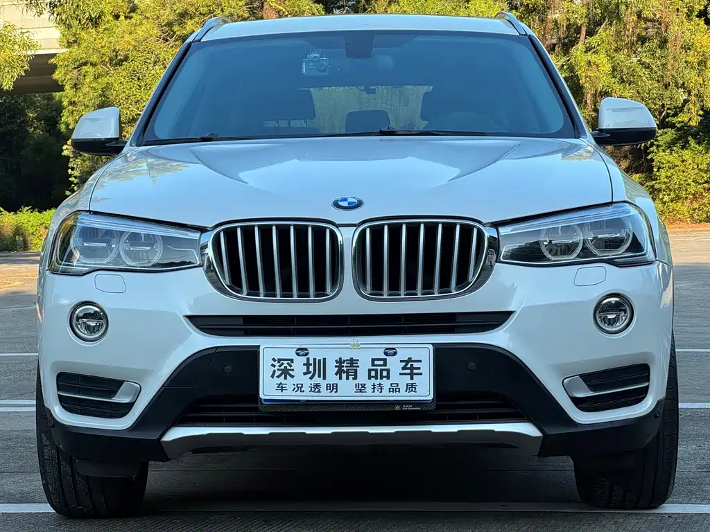 BMW X3 (Import) — миниатюра 2
