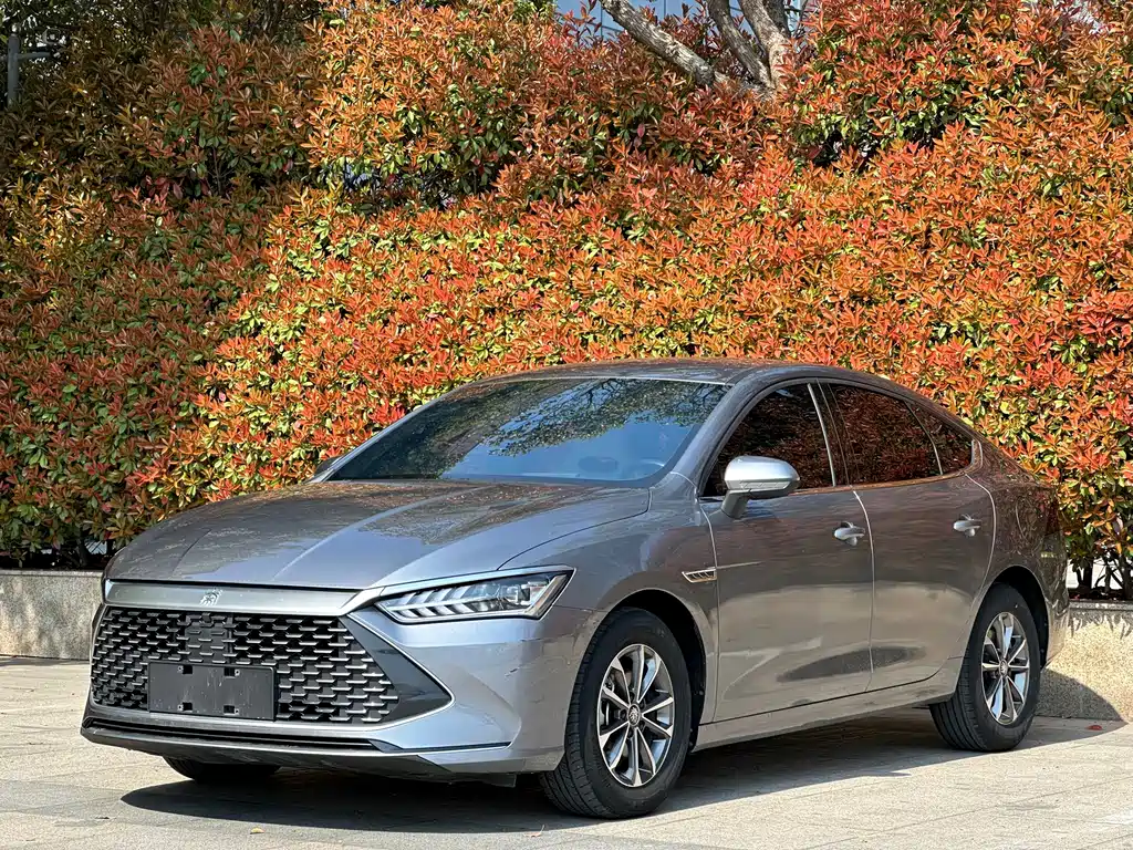 Byd Qin PLUS 2023