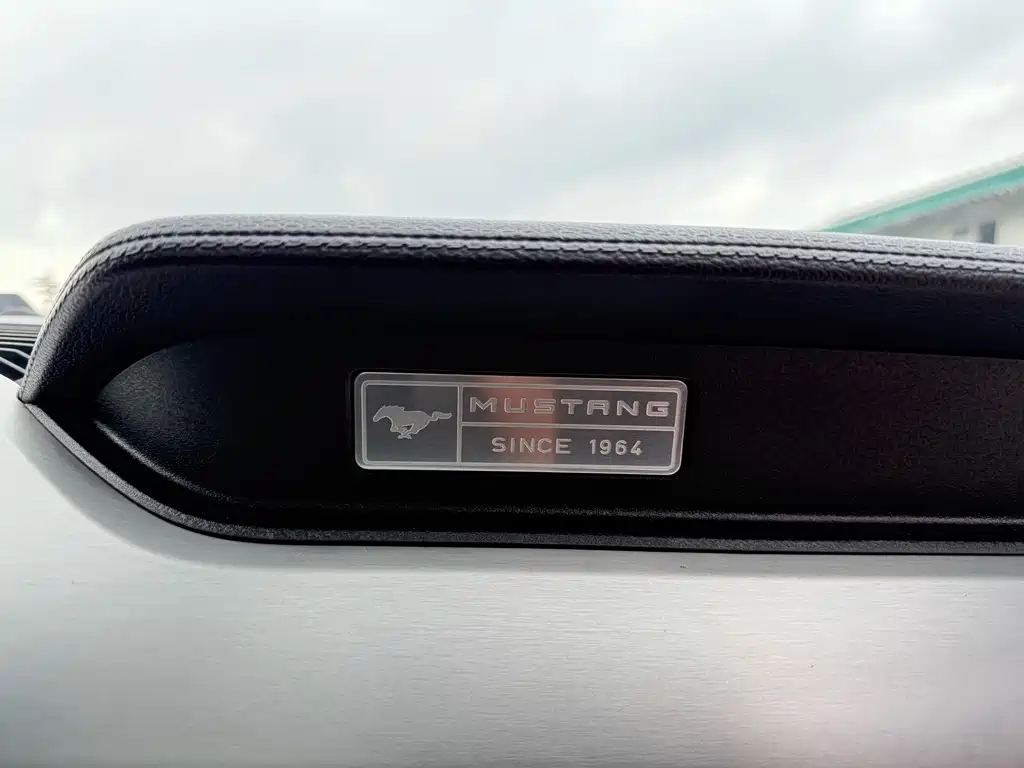 Ford Mustang — миниатюра 14