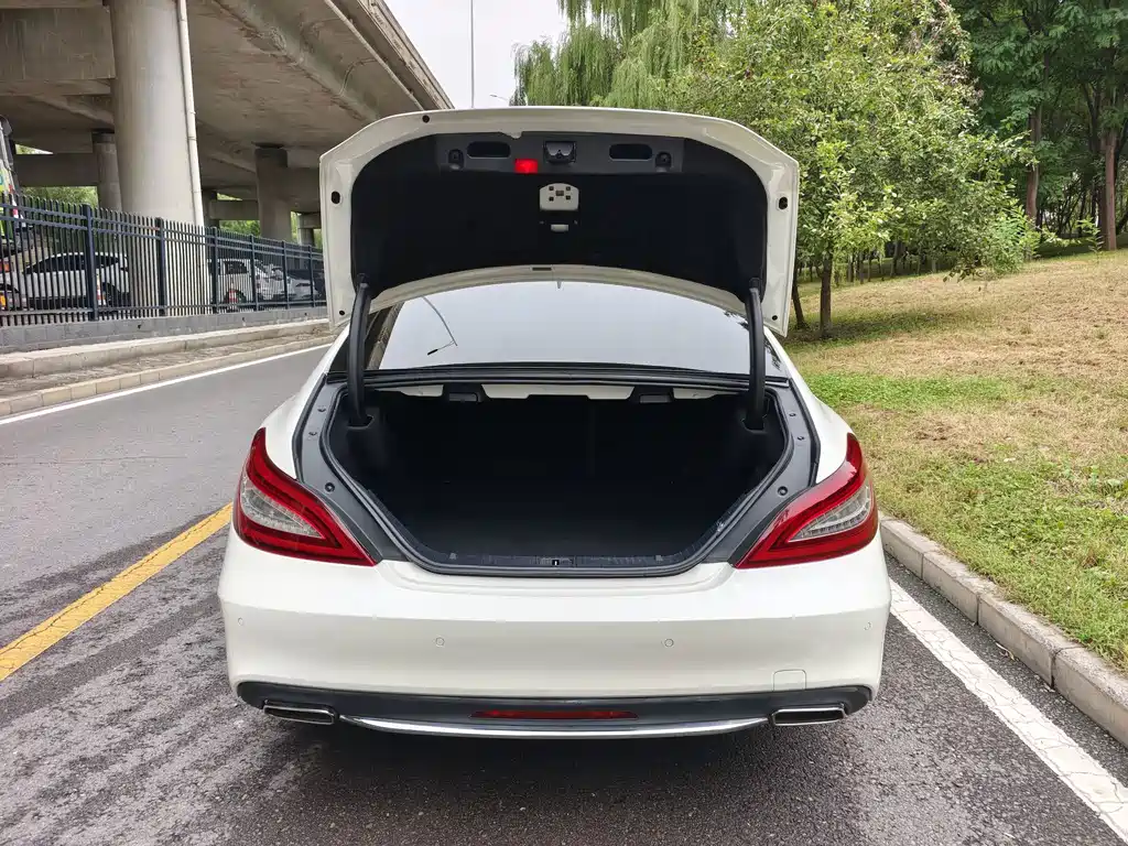 Mercedes-Benz CLS — миниатюра 29
